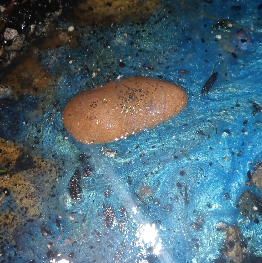 Meet your Posher, Barbara